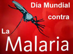 malaria4
